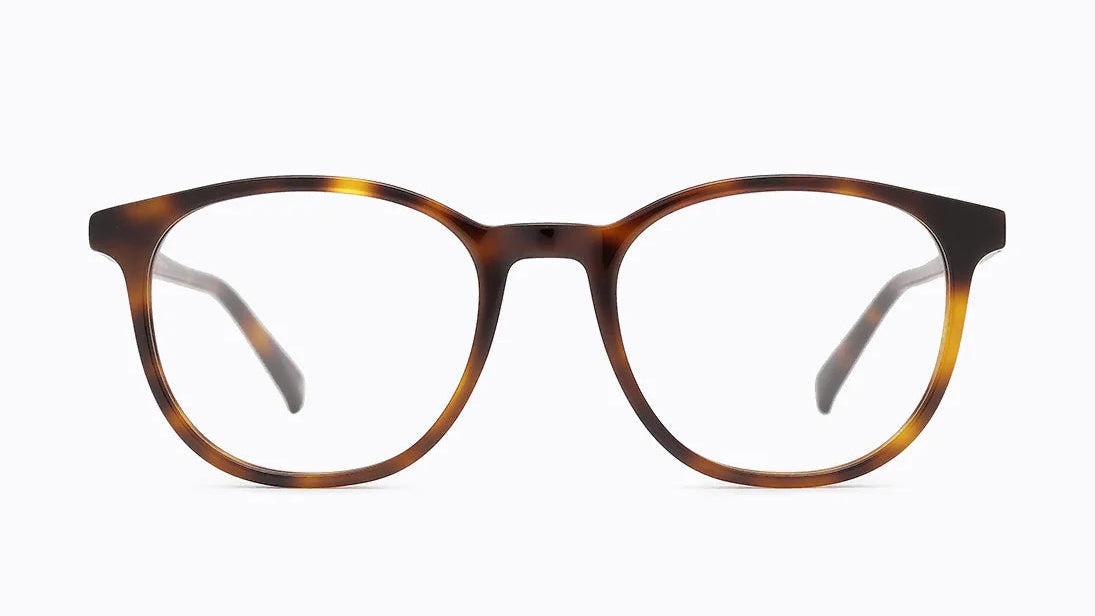 CAROLINA LEMKE CASSIA EYEGLASSES - CL4616 012