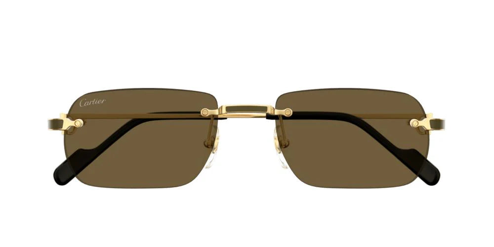 CARTIER SUNGLASSES - CT0271S 001 58