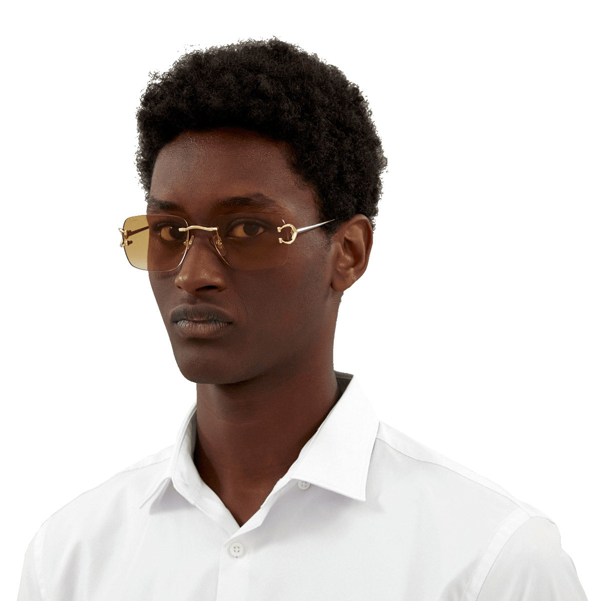 CARTIER SUNGLASSES - CT0330S 001 57 - Silver Signature C de Cartier