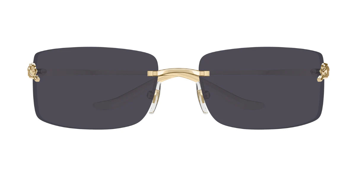 CARTIER SUNGLASSES - CT0503S 001 71