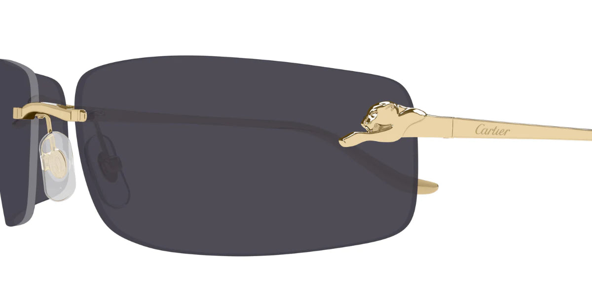 CARTIER SUNGLASSES - CT0503S 001 71