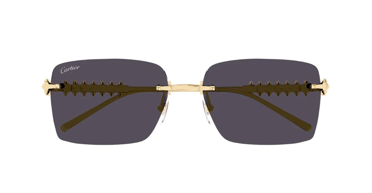CARTIER SUNGLASSES - CT0545S 002 58