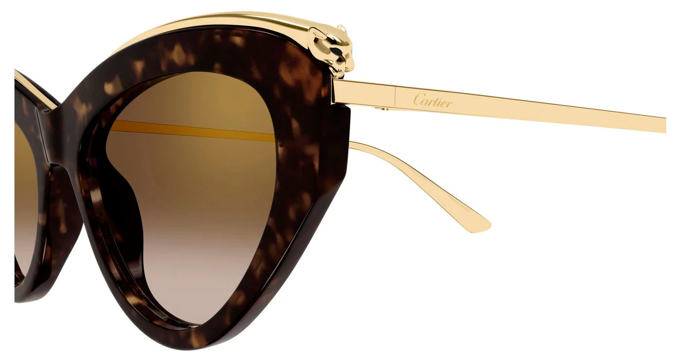CARTIER SUNGLASSES - CT0596S 002 55