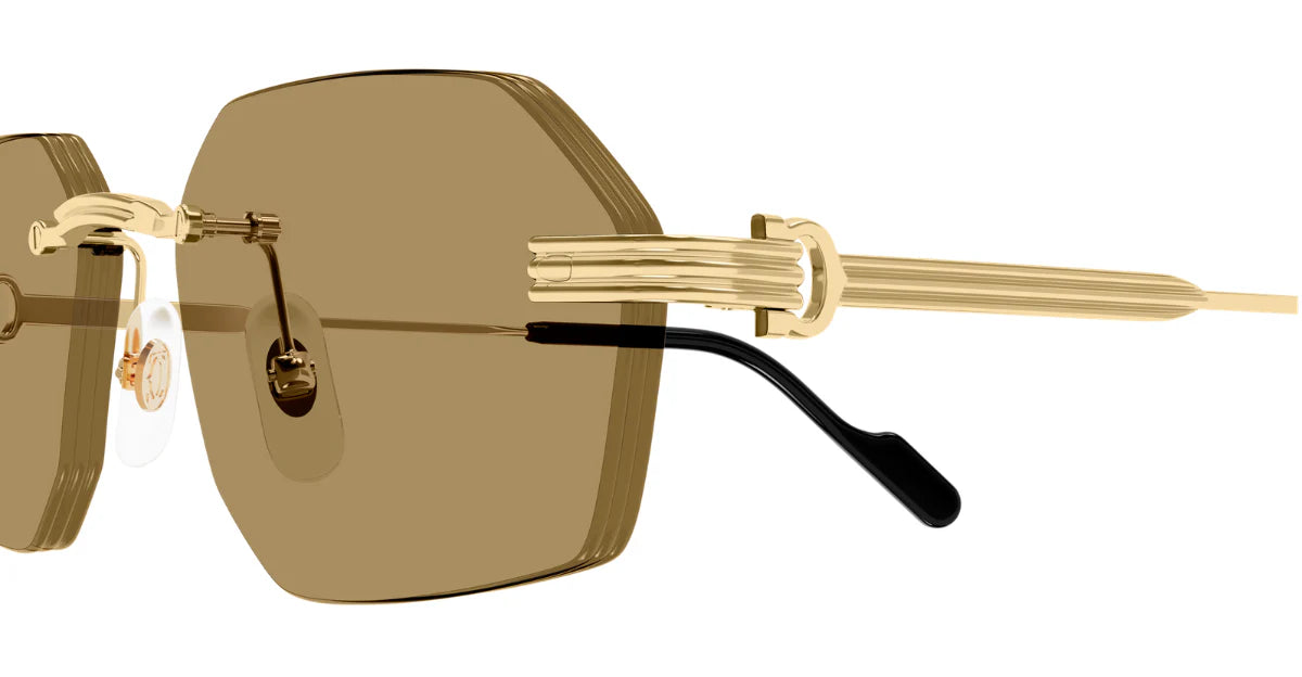 CARTIER SUNGLASSES - CT0616S 002 54