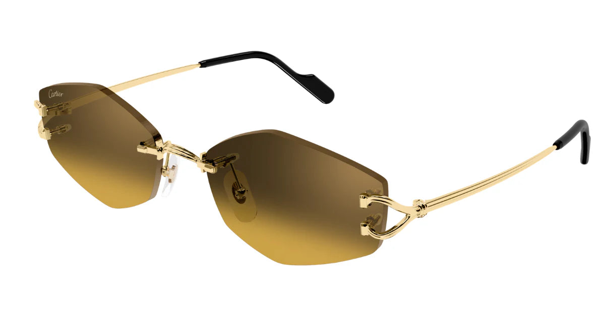 CARTIER SUNGLASSES - CT0620S 003 56