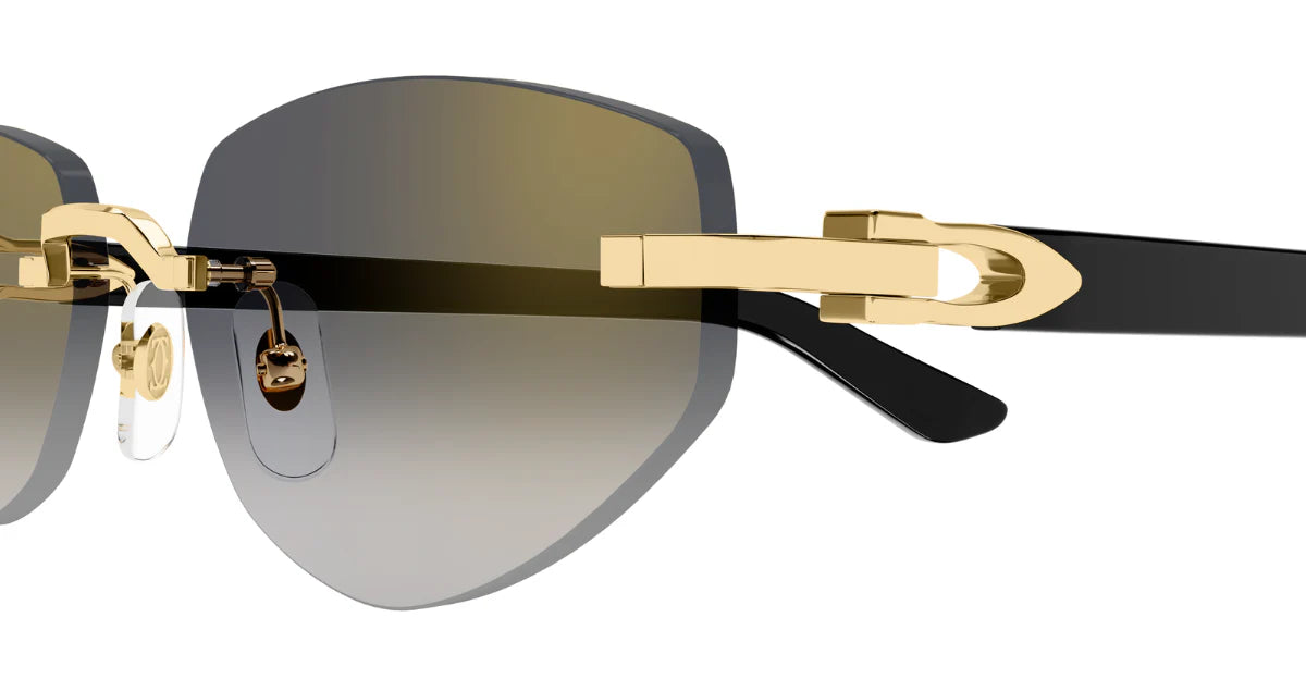 CARTIER SUNGLASSES - CT0580S 001 56
