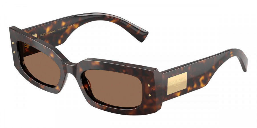 Dolce & Gabbana™ DG4479 502/73 55 - Havana