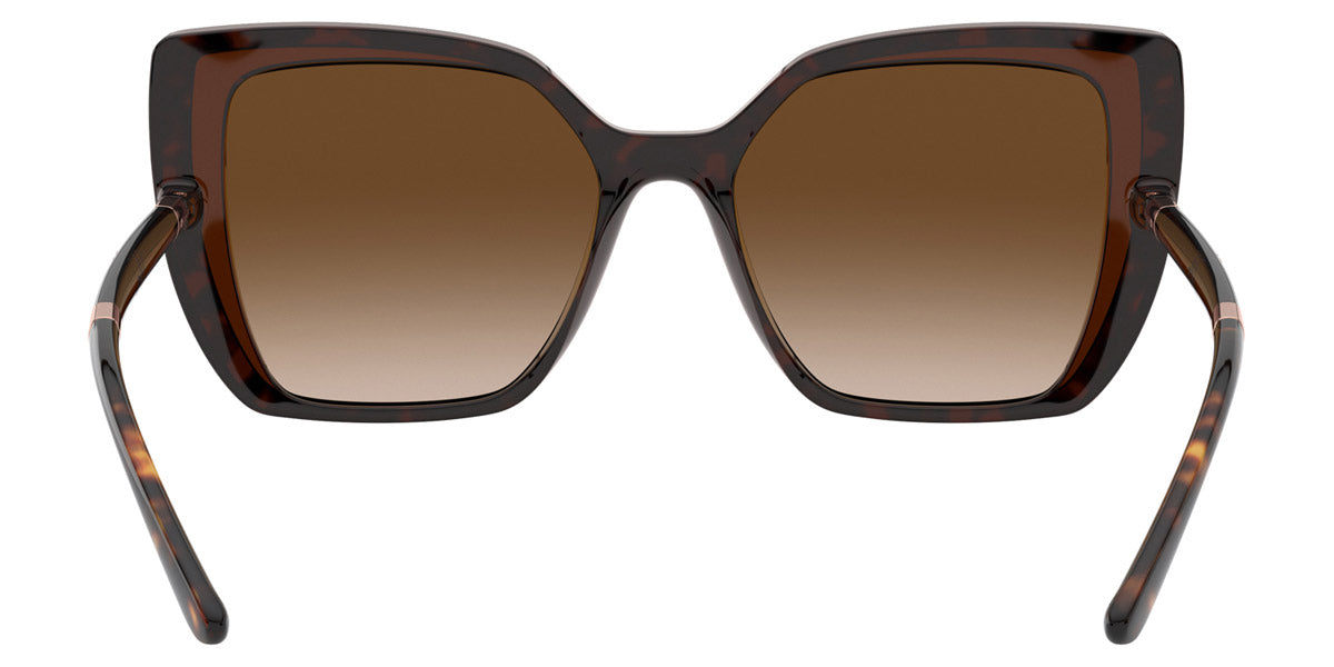 Dolce & Gabbana™ Line DG6138 318513 55 - Havana on Transparent Brown