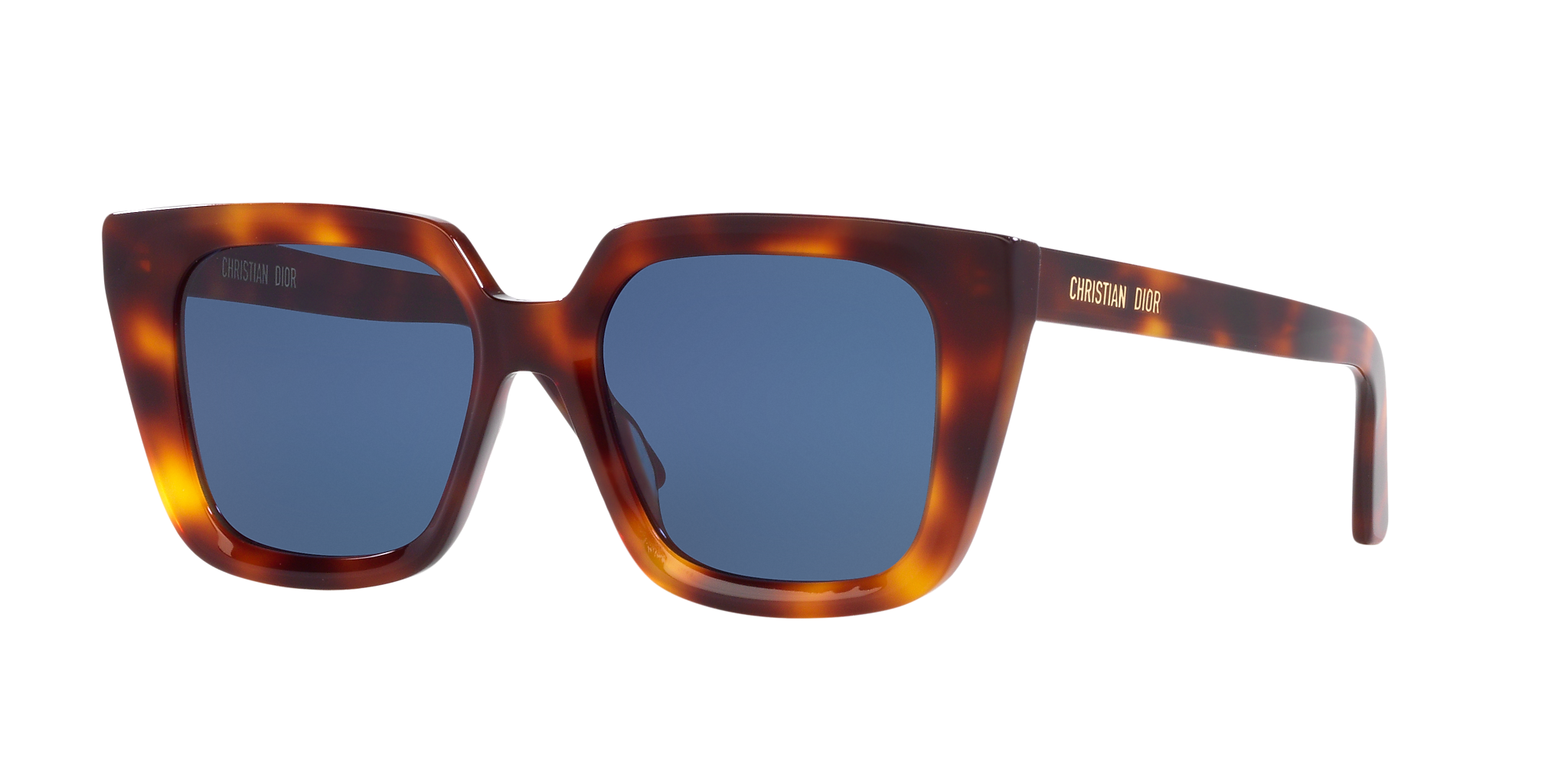 DIOR SUNGLASSES - DiorMidnight S1
