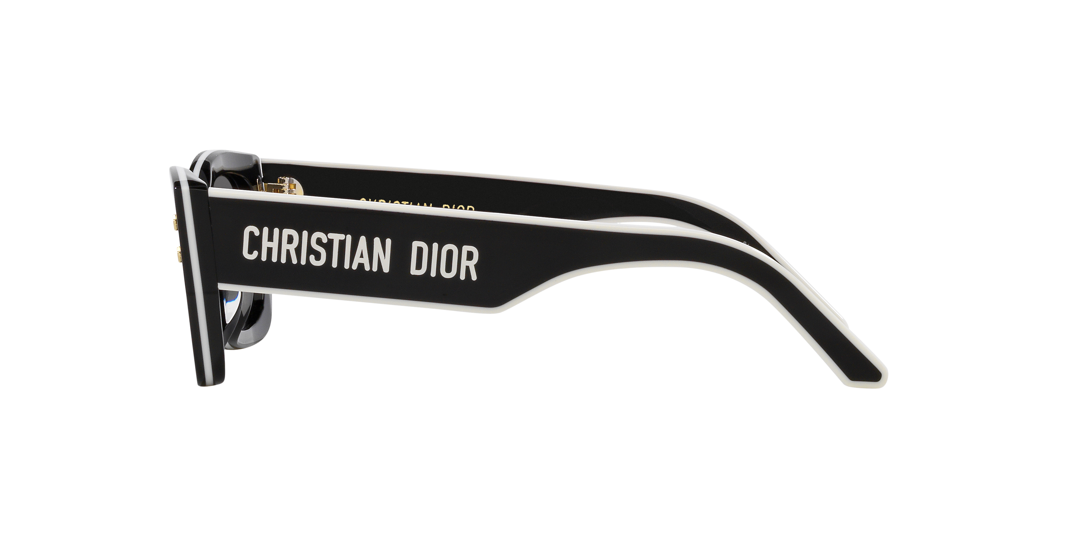 DIOR SUNGLASSES - DIORPACIFIC S2U 10A0 53