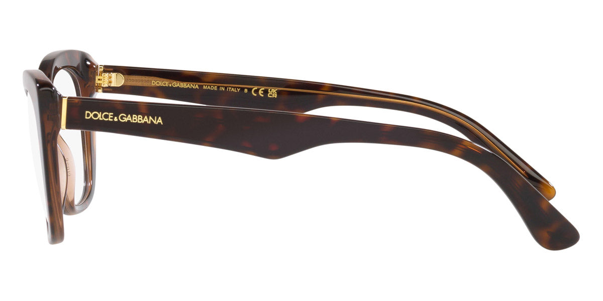 DOLCE & GABBANA EYEGLASSES - DG3360 3256 54 - Havana/Transparent Brown