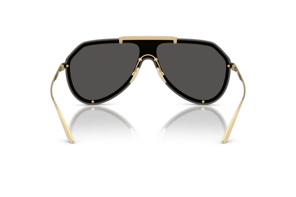 DOLCE & GABBANA SUNGLASSES - DG2309 02/87 43