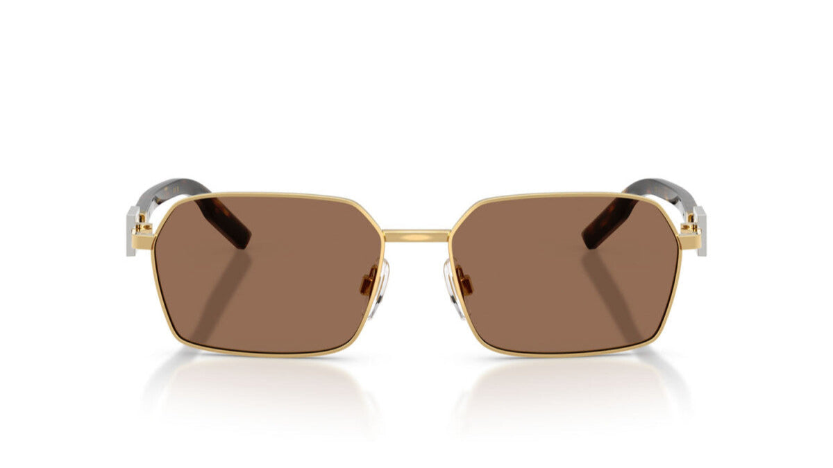 DOLCE & GABBANA SUNGLASSES - DG2316 02/73 56