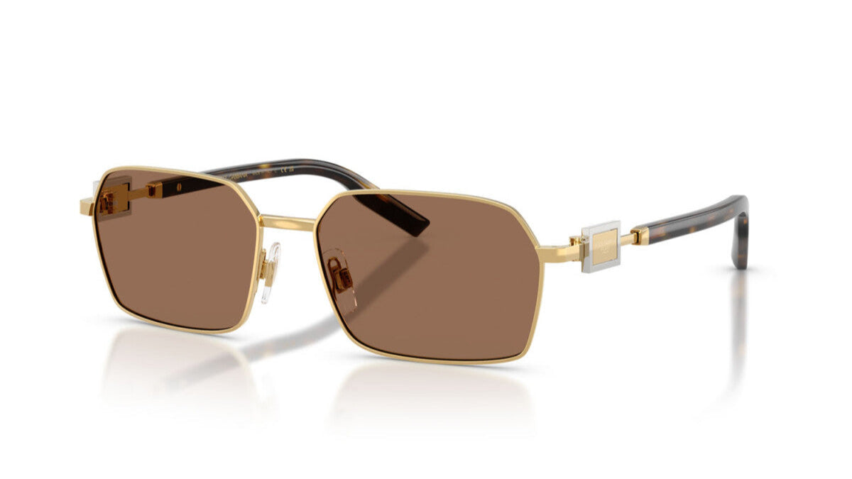 DOLCE & GABBANA SUNGLASSES - DG2316 02/87 56