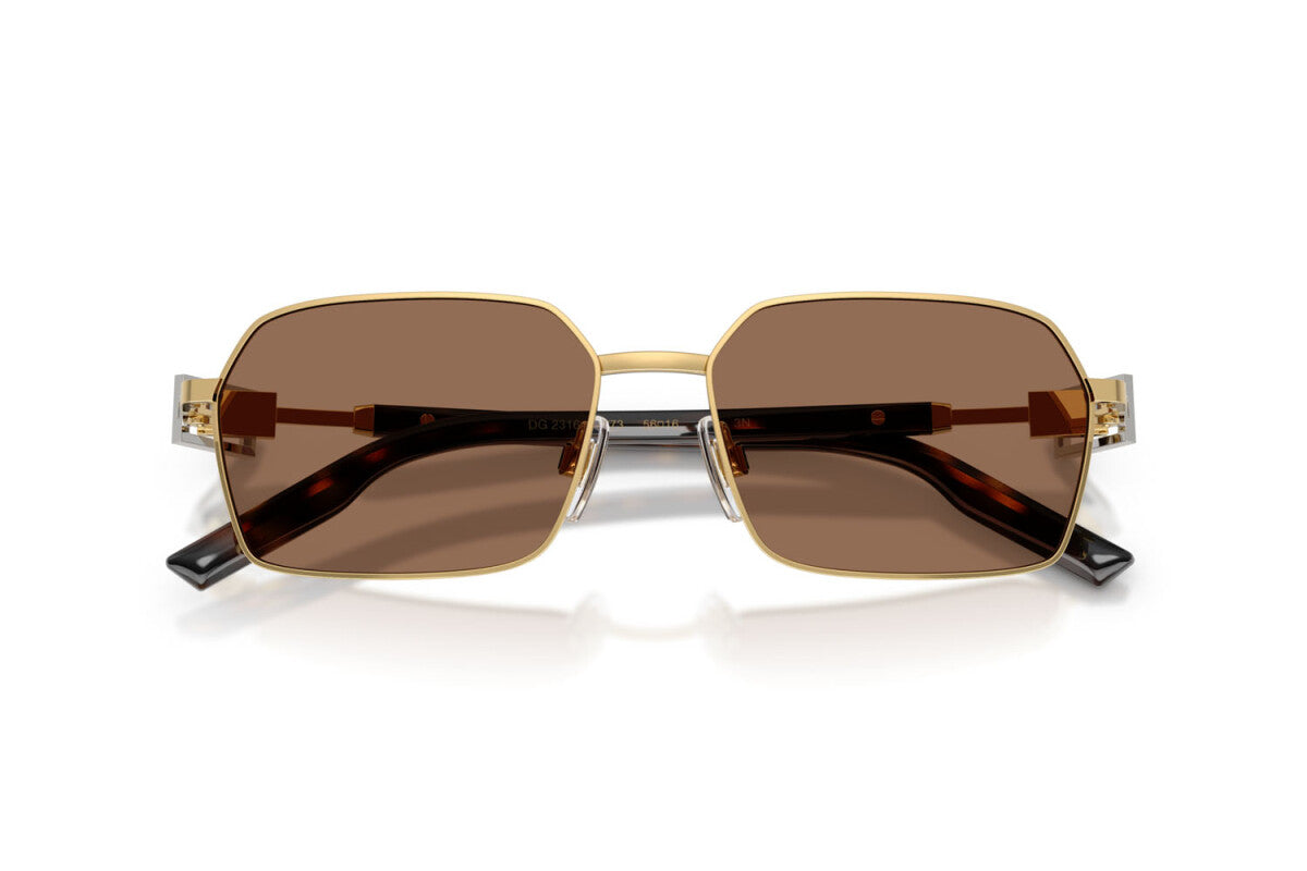 DOLCE & GABBANA SUNGLASSES - DG2316 02/73 56