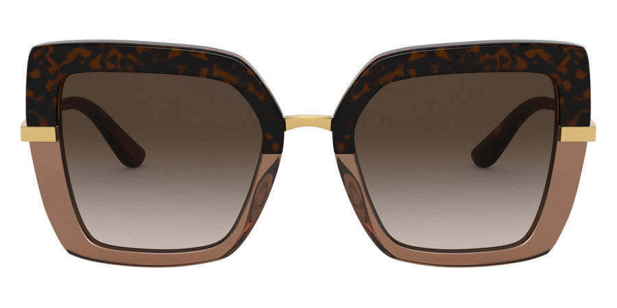 DOLCE & GABBANA SUNGLASSES - DG4373 325613 52 - Havana on Transparent Brown