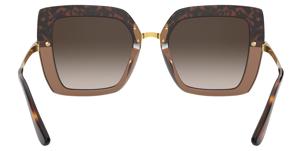 DOLCE & GABBANA SUNGLASSES - DG4373 325613 52 - Havana on Transparent Brown