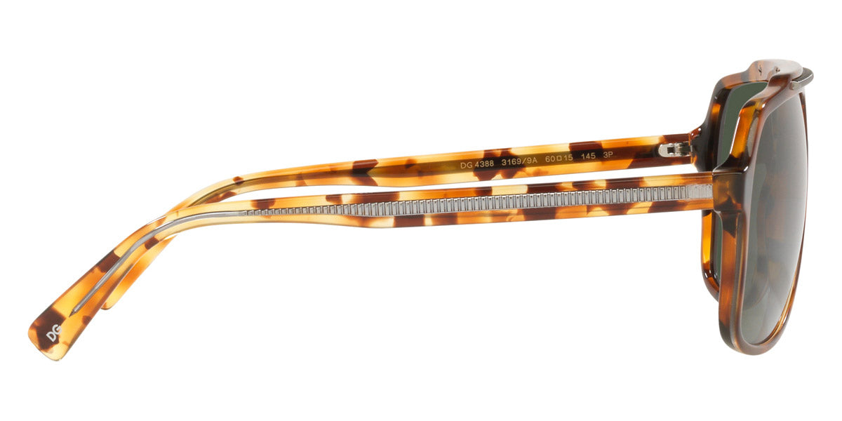 DOLCE & GABBANA SUNGLASSES - DG4388 31699A 60 - Brown Havana