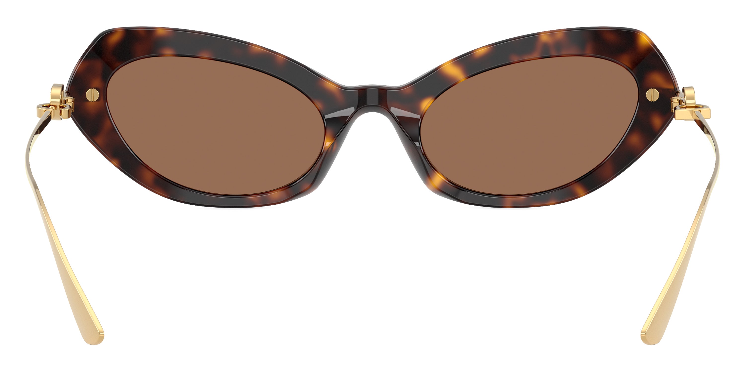 DOLCE & GABBANA SUNGLASSES - DG4473 502/73 52 - Havana/Gold