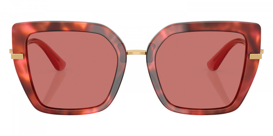 DOLCE & GABBANA SUNGLASSES - DG4474 344469 53 - Havana Brown/Gold