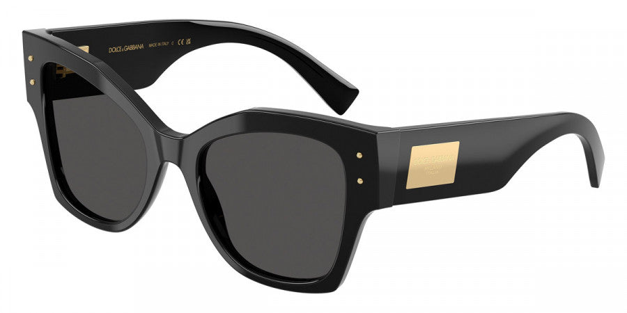 DOLCE & GABBANA SUNGLASSES - DG4478 501/87 53 - Black