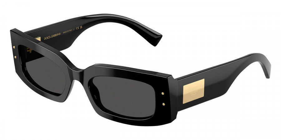 DOLCE & GABBANA SUNGLASSES - DG4479 501/87 55 - Black