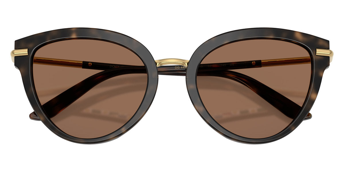 DOLCE & GABBANA SUNGLASSES - DG4492 321713 55 - Havana on White Barrow/Gold