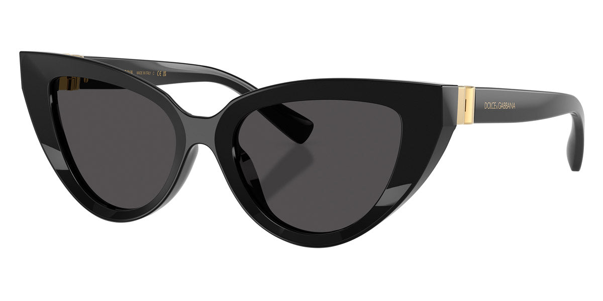 DOLCE & GABBANA SUNGLASSES - DG4497 501/87 52 - Black