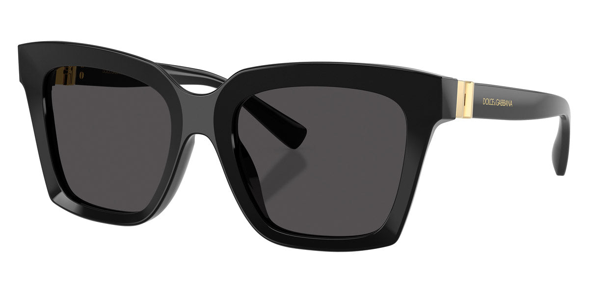 DOLCE & GABBANA SUNGLASSES - DG4498 501/87 55 - Black