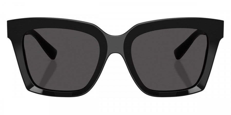 DOLCE & GABBANA SUNGLASSES - DG4498 501/87 55 - Black