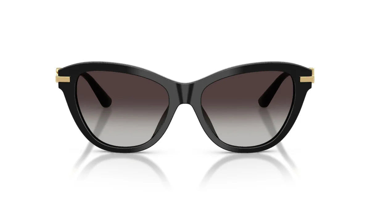 DOLCE & GABBANA SUNGLASSES - DG4534 501/8G 53