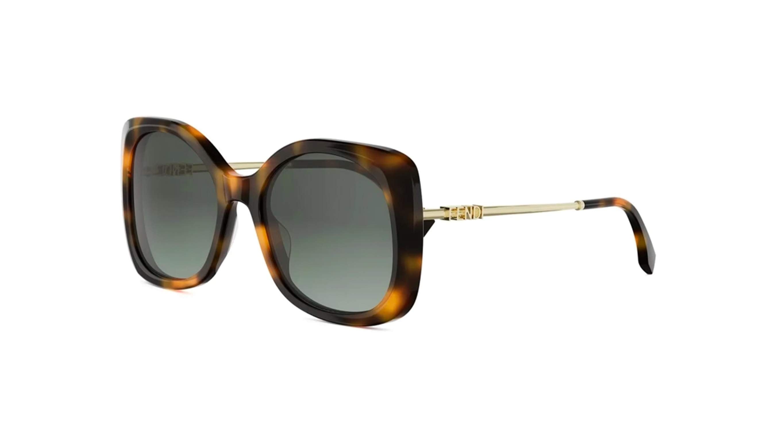FENDI FENDIOGRAPHY SUNGLASSES - FE40201I 53P 55