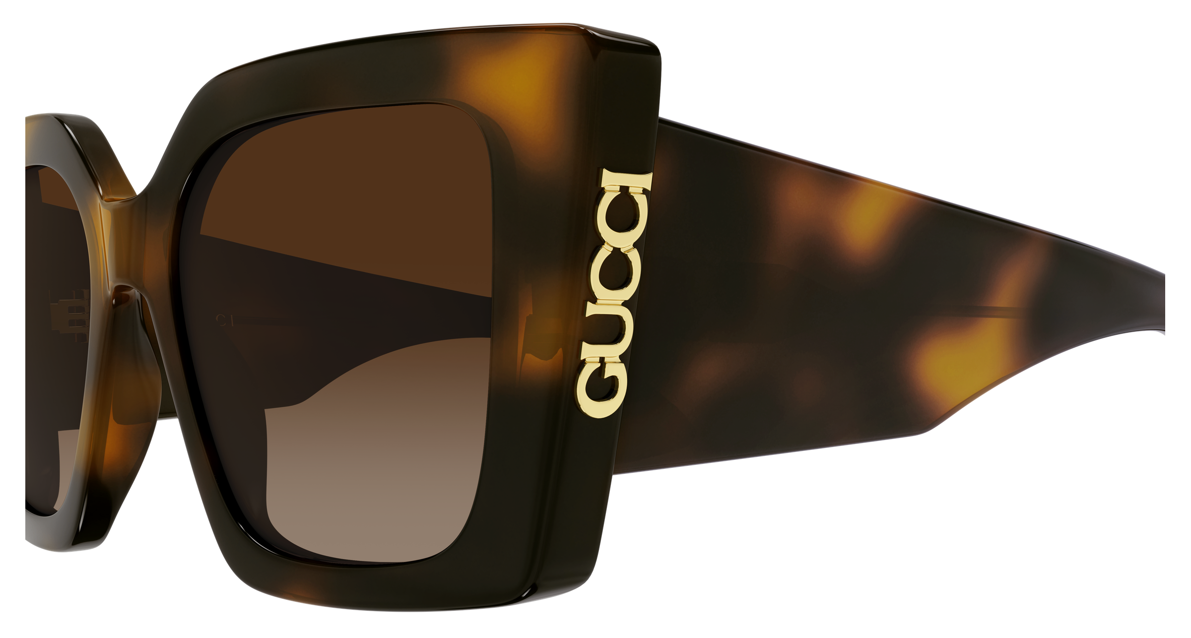 GUCCI SUNGLASSES - GG2039S 002 51
