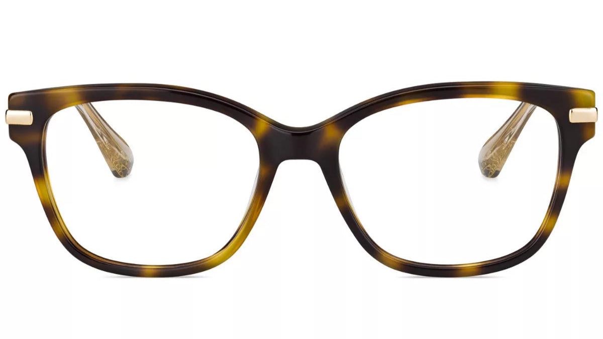 JIMMY CHOO EYEGLASSES - JC181 014B 00 53