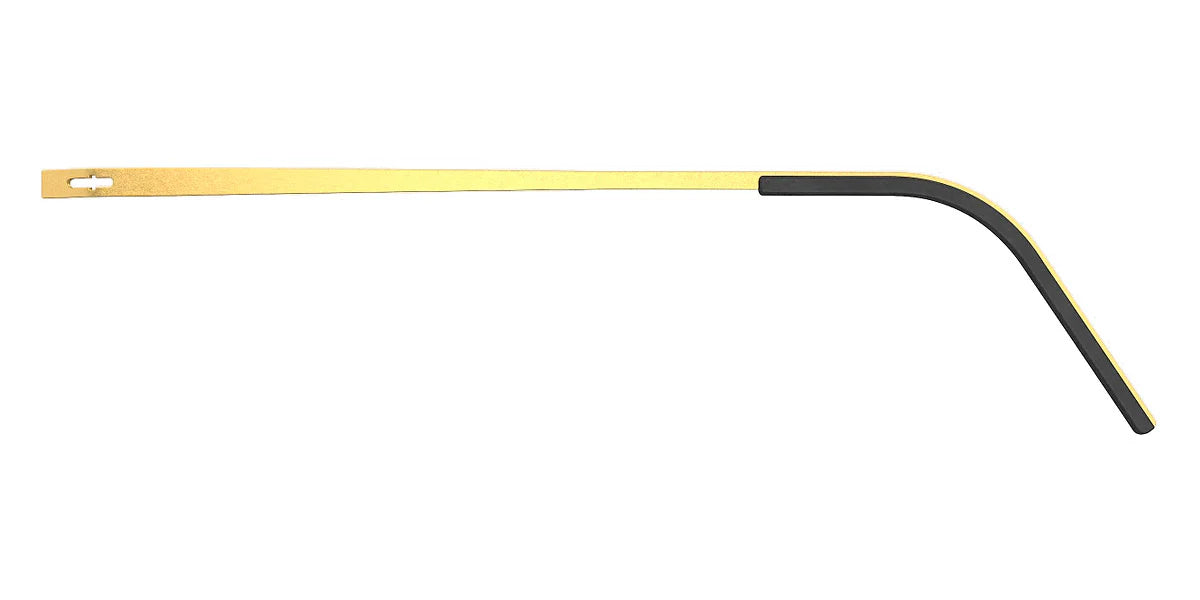 LINDBERG EYEGLASSES - 2498 GT  56