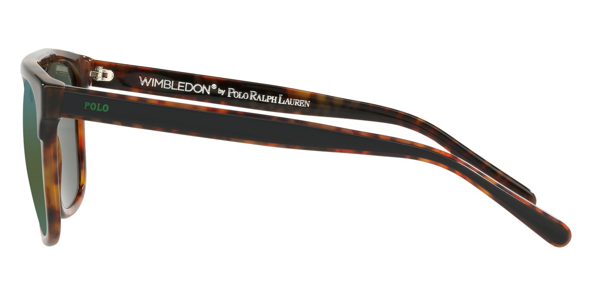 POLO SUNGLASSES - PH4125 52606R 54 - Shiny Black on Jerry Havana