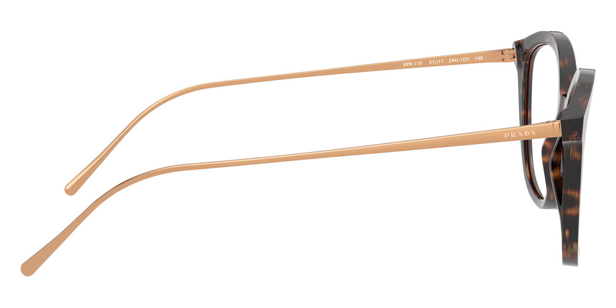 PRADA EYEGLASSES CONCEPTUAL - PR 11VV 2AU1O1 53 - Havana