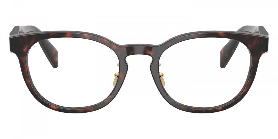 PRADA EYEGLASSES SYMBOLE - PR B06VD 17N1O1 50 - Matte Green/Pink/Root Tortoise