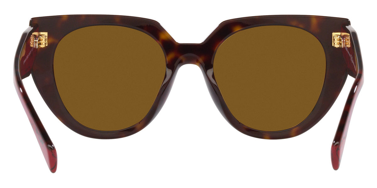 PRADA SUNGLASSES - PR 14WS 2AU5Y1 52 - Tortoise