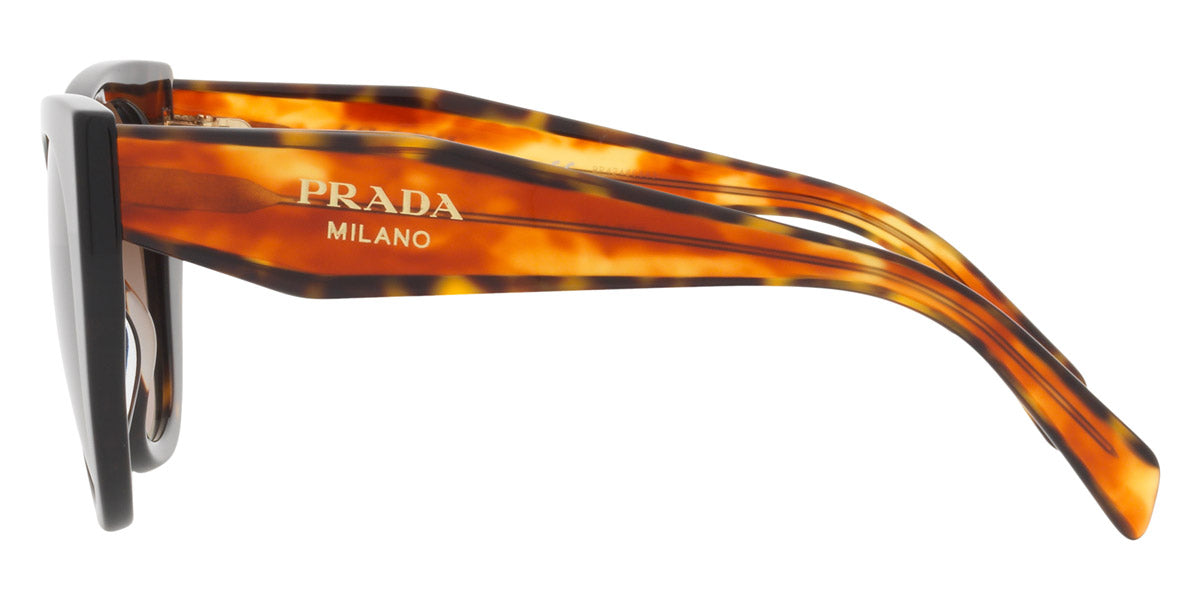 PRADA SUNGLASSES - PR 14WS 2AU6S1 52 - Tortoise