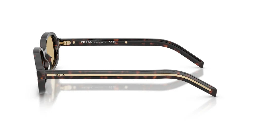 PRADA SUNGLASSES - PR D06S 17N70R 50