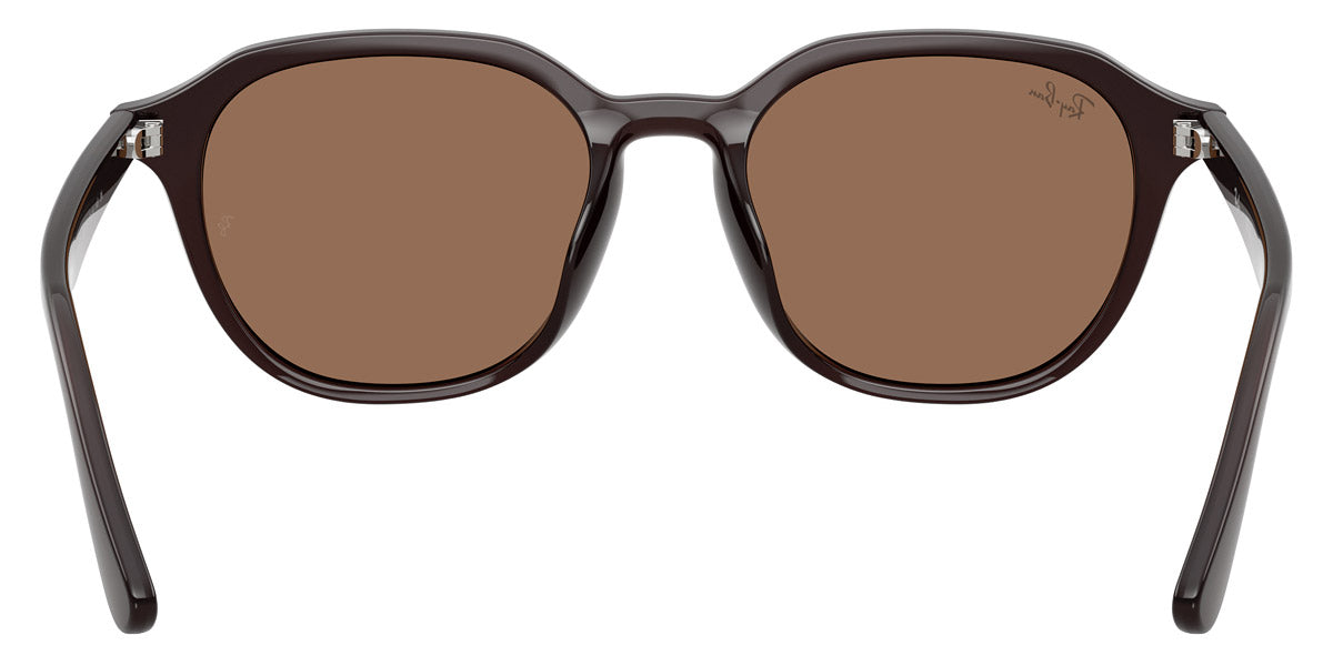 Ray-Ban™ RB4459D 623173 54 - Opal Brown