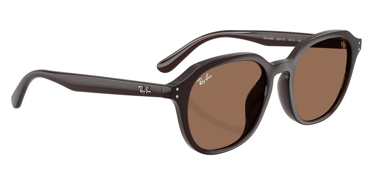 Ray-Ban™ RB4459D 623173 54 - Opal Brown
