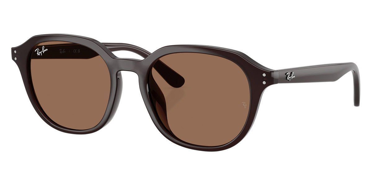 Ray-Ban™ RB4459D 623173 54 - Opal Brown