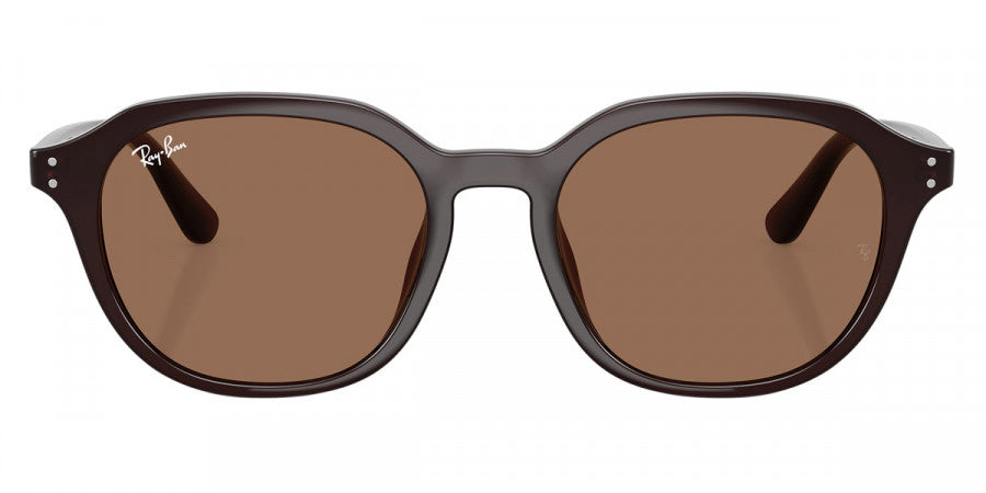 Ray-Ban™ RB4459D 623173 54 - Opal Brown