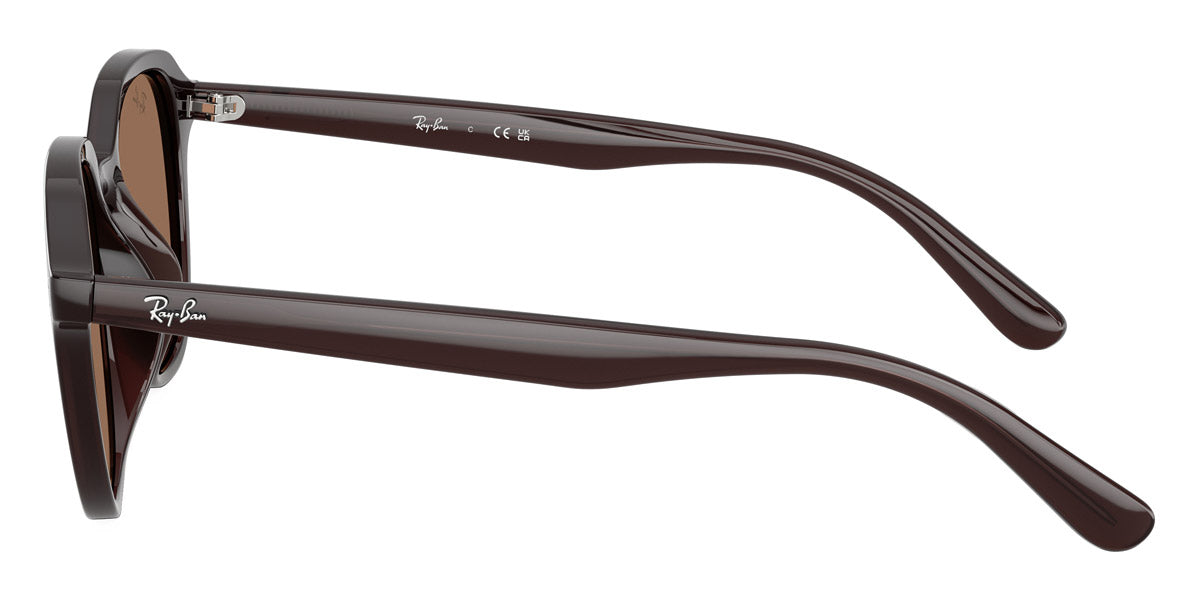 Ray-Ban™ RB4459D 623173 54 - Opal Brown