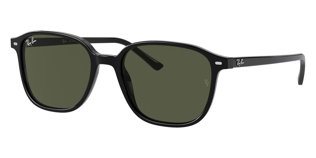 RAY-BAN SUNGLASSES LEONARD - RB2193 901/31 55 - Black