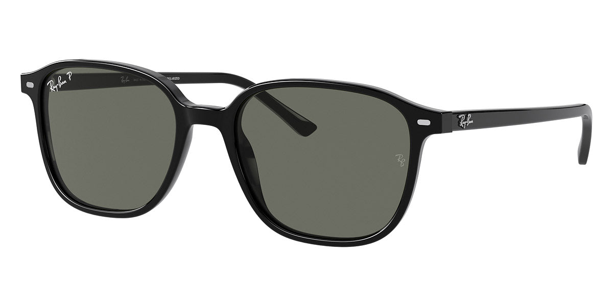 RAY-BAN SUNGLASSES LEONARD - RB2193 901/58 53 - Black