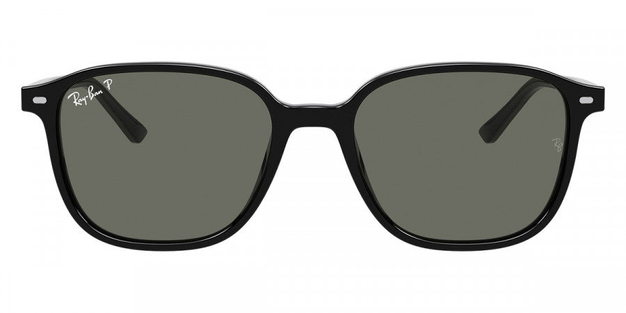 RAY-BAN SUNGLASSES LEONARD - RB2193 901/58 53 - Black