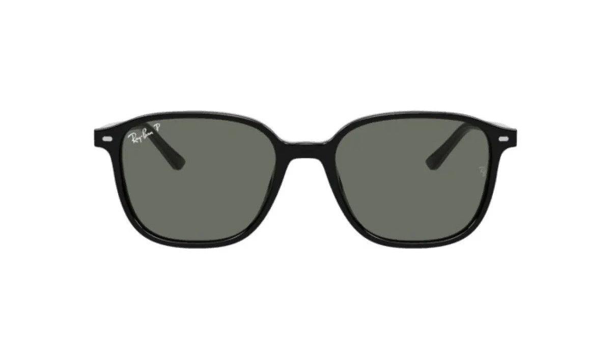 RAY-BAN SUNGLASSES LEONARD - RB2193F 901/58 55
